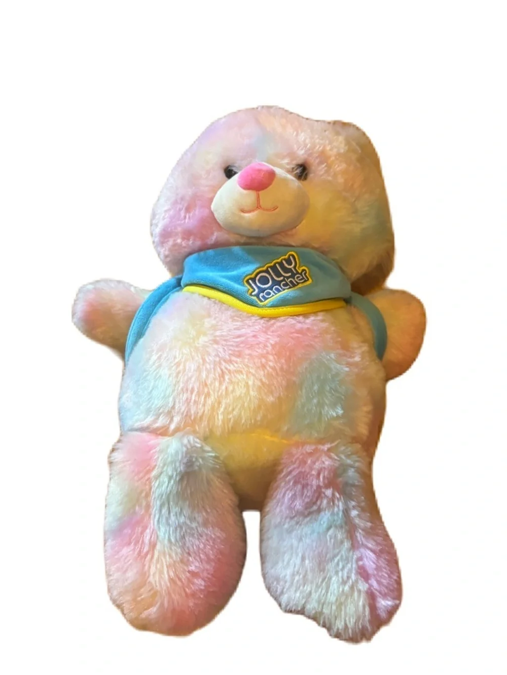 Jolly Rancher Pastel Rainbow Plush Bear with Blue Book Bag Scarf Backpack